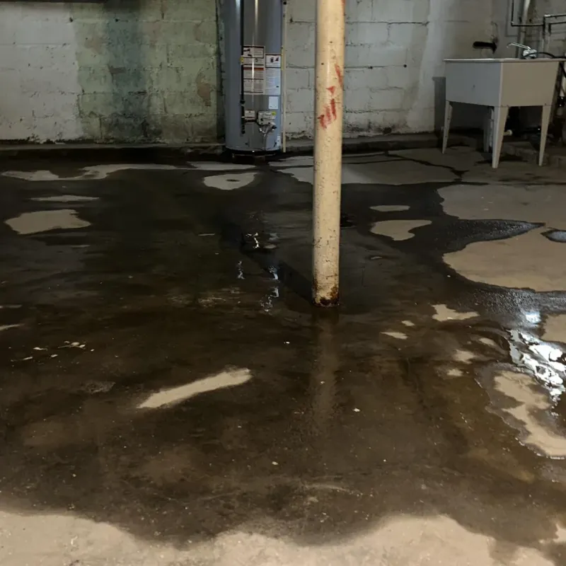 Emergency Water Extraction And Removal in South Houston, TX